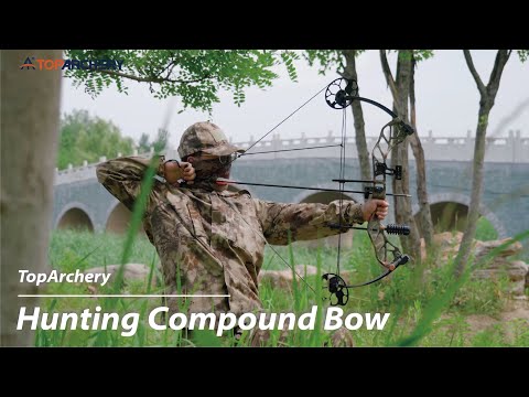 Adults Compound Bow Set Beginner Hunting Bow 19-70lbs Left Right Hand