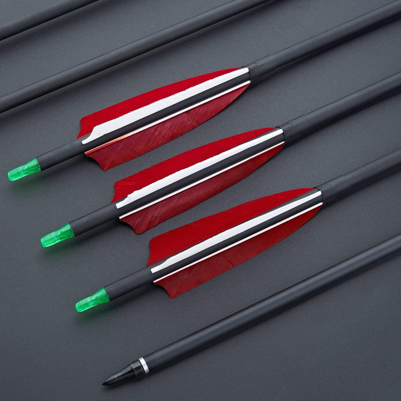 12pcs Archery 30.5" Carbon Arrows with 4 inch Turkey Feather Spine 600 for Recurve Compound Bow