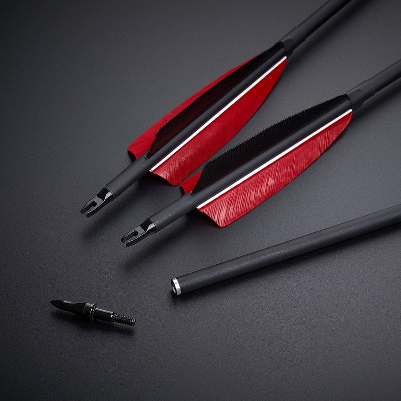 12pcs Archery 30.5" Carbon Arrows with 4 inch Turkey Feather Spine 600 for Recurve Compound Bow