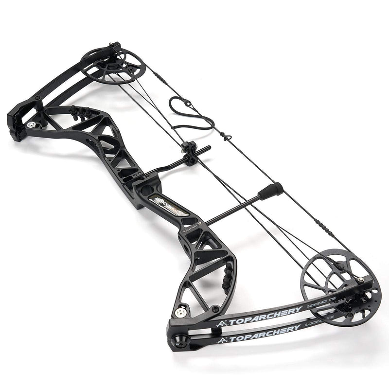 Archery Adults Compound Bow Right Hand CNC Riser Hunting Bow 20-70LBS