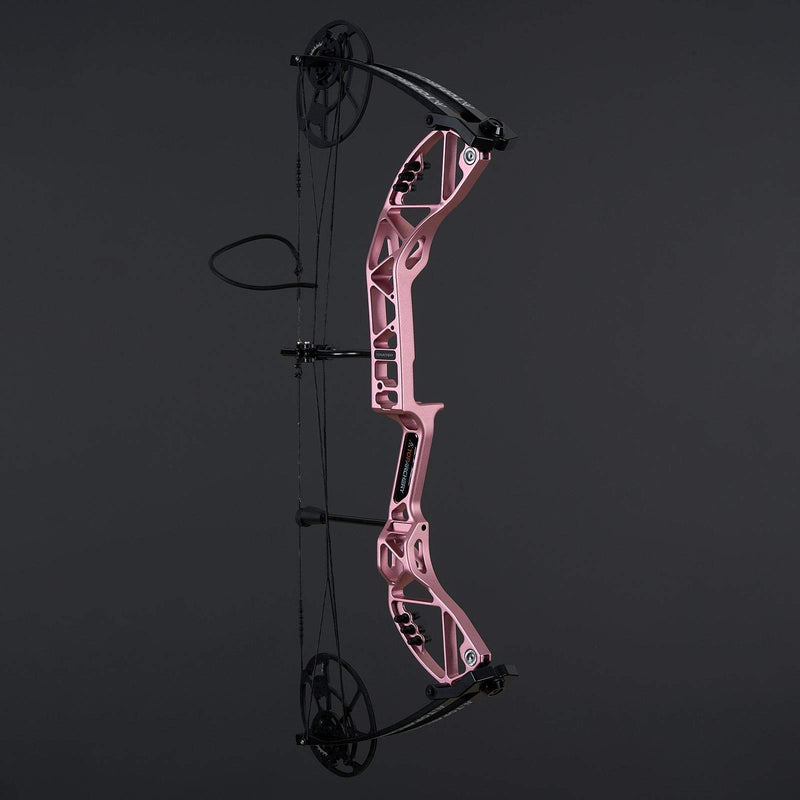 Archery Adults Compound Bow Right Hand CNC Riser Hunting Bow 20-70LBS