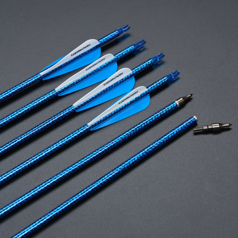 12pcs 30" Fletched Carbon Arrows with Replaceable Arrowheads for Recurve Compound Bow