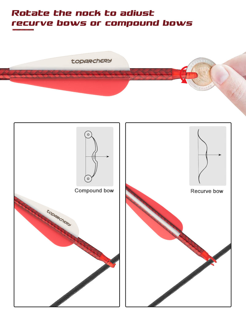 12pcs 30" Fletched Carbon Arrows with Replaceable Arrowheads for Recurve Compound Bow