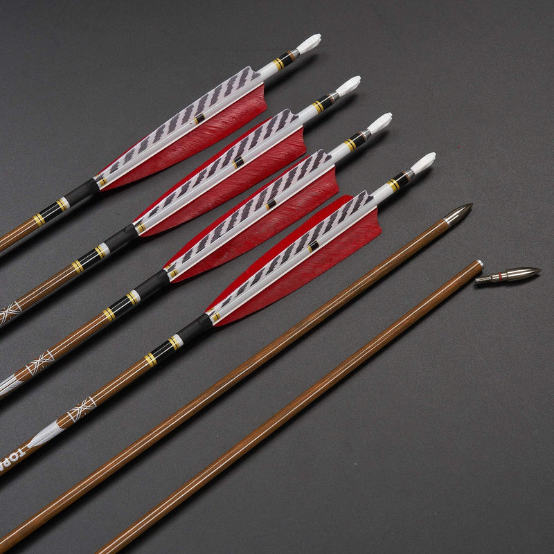 12pcs 31" Archery Pure Carbon Arrows Turkey Feather Fletched Spine 300-600
