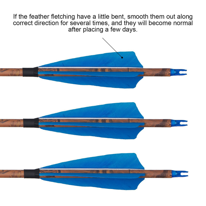 6Pcs Archery 30" Feather Fletched Carbon Arrows Spine 400 for Recurve Compound Bow