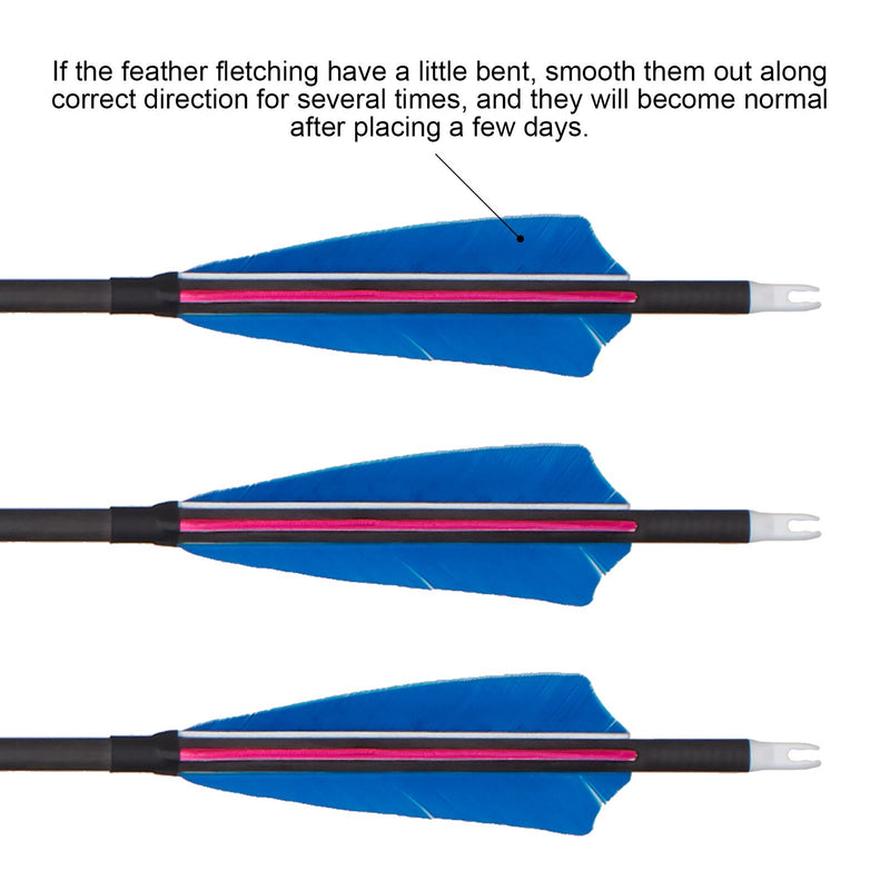 6Pcs Archery 31" Turkey Feather Fletched Pure Carbon Arrow Straightness 0.003 Spine 350 Hunting Arrows