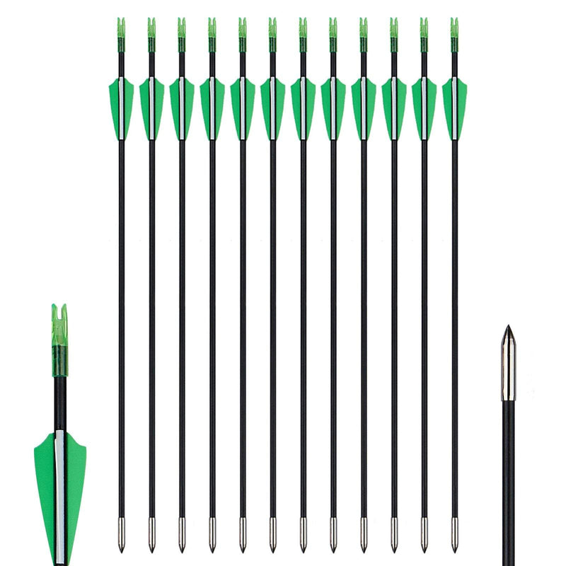 12pcs Archery Fiberglass Arrows Spine 1000 for Compound Bow Diameter 6mm with Fixed Tips
