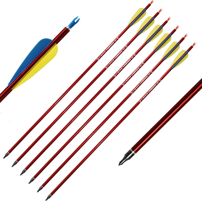 6pcs 31 Inch Aluminium Arrows Archery Hunting Targeting Practice Arrows for Compound Recurve Bow