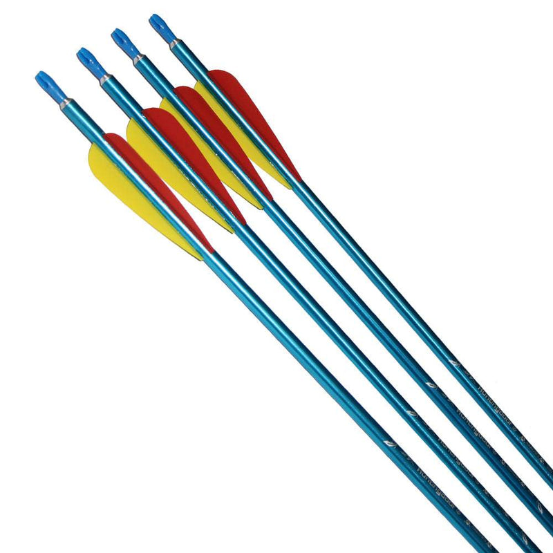 6pcs 31 Inch Aluminium Arrows Archery Hunting Targeting Practice Arrows for Compound Recurve Bow